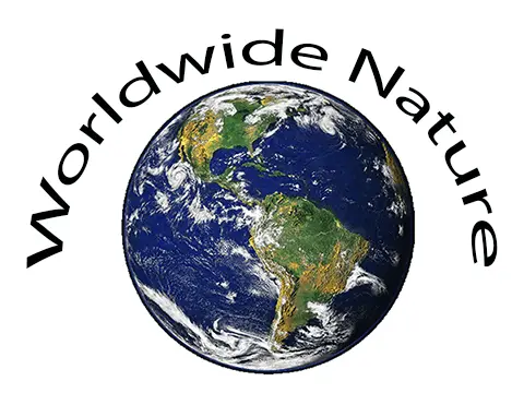 Worldwide Nature