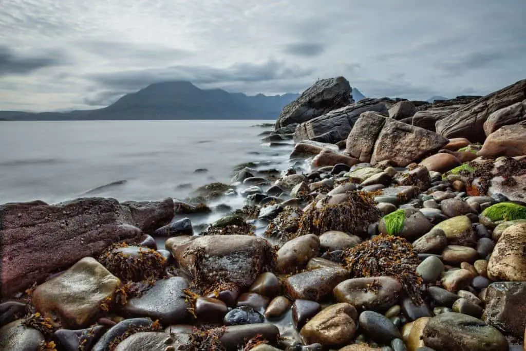 Photo of rocks, seaweed, and beach